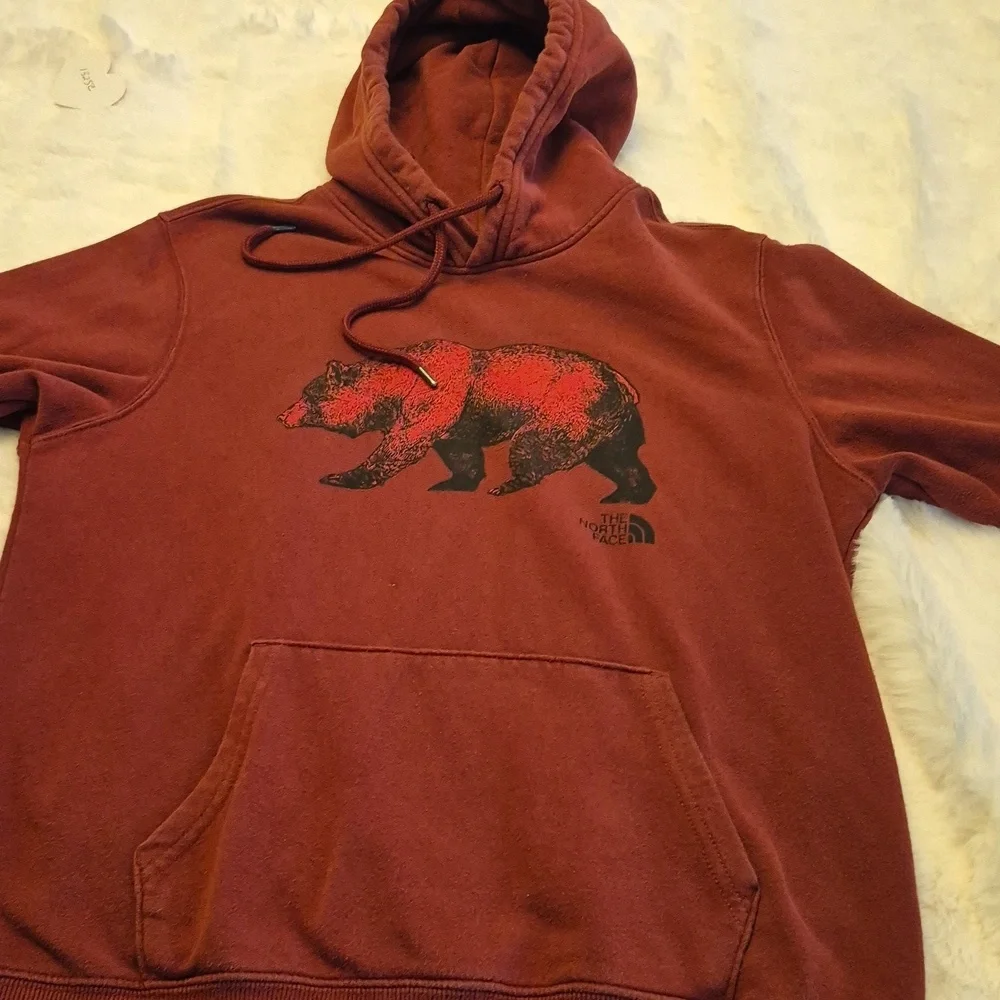 The Nortface TNF Hoodie Red Brick.SizeTag Missing. Pit To Pit:22.5